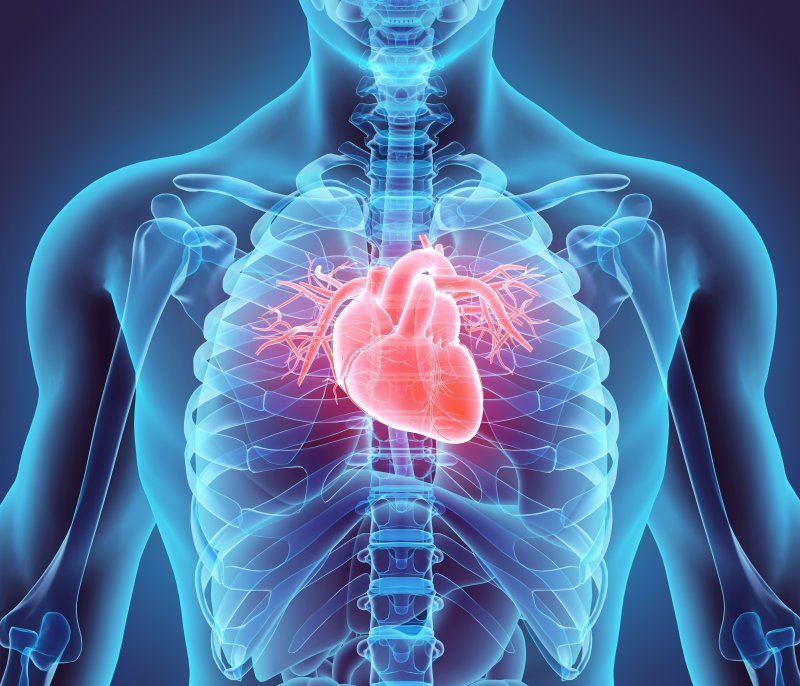 Digital illustration of heart